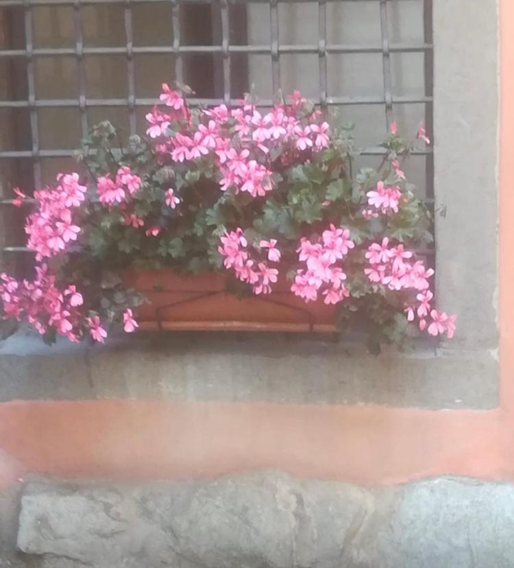 Casa Mirella Apartment Lovere Bagian luar foto
